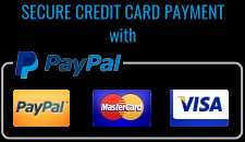 icon PayPal